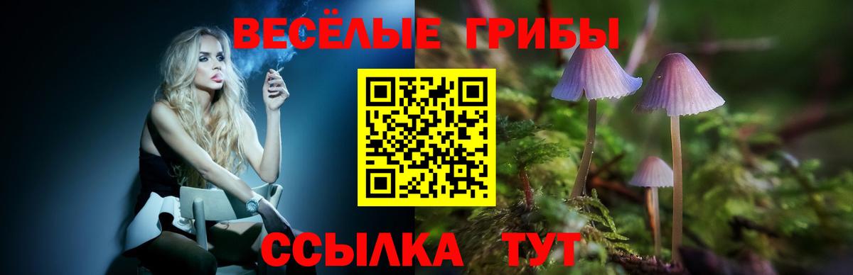 Галлюциногенные грибы Cubensis Похвистнево